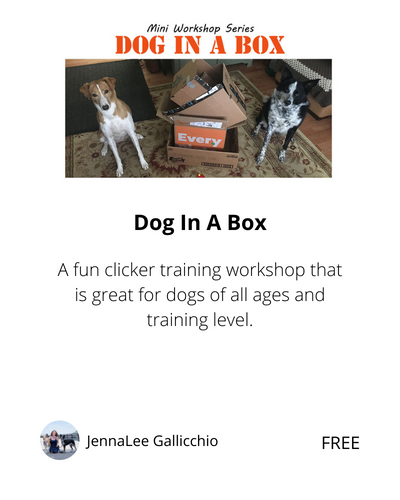 Dog In a Box workshop
