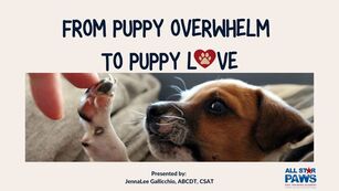 From Puppy Overwhelm To Puppy Love Webinar