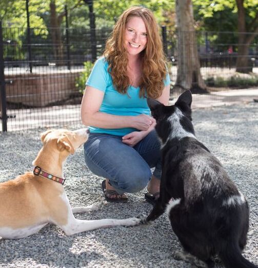 Jenna The Dog Trainer with her two dogs Emmy and Ryder. 