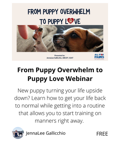 From Puppy Overwhelm To Puppy Love Webinar